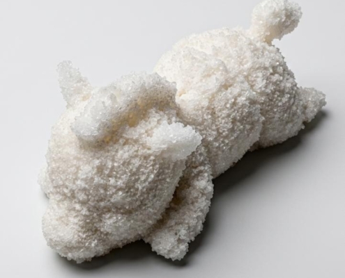 First test with and edible powder